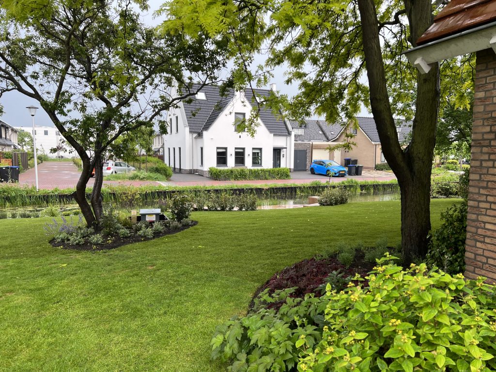 Boomverzorging ZuidHolland